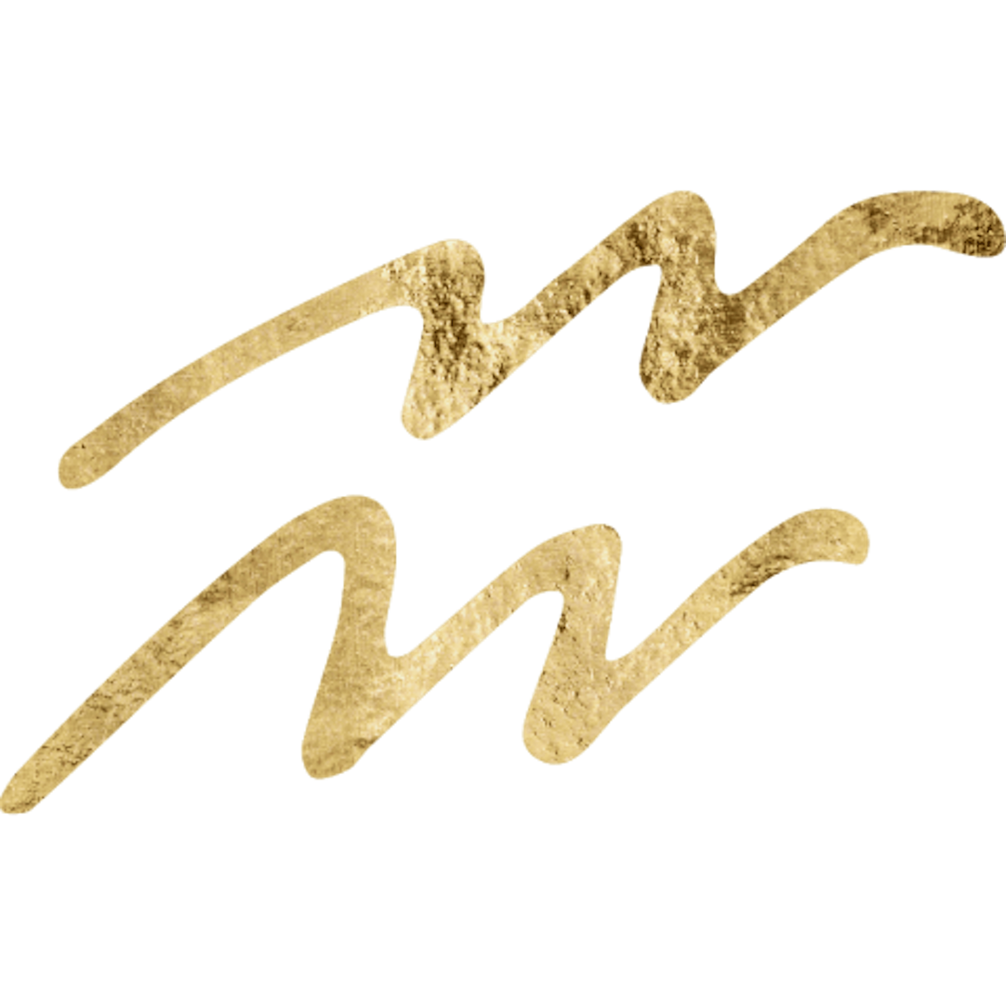 Aquarius Astrological Icon