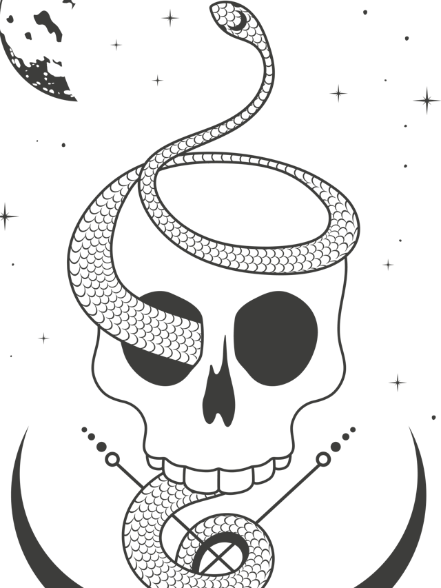 Death Tarot Card Cover