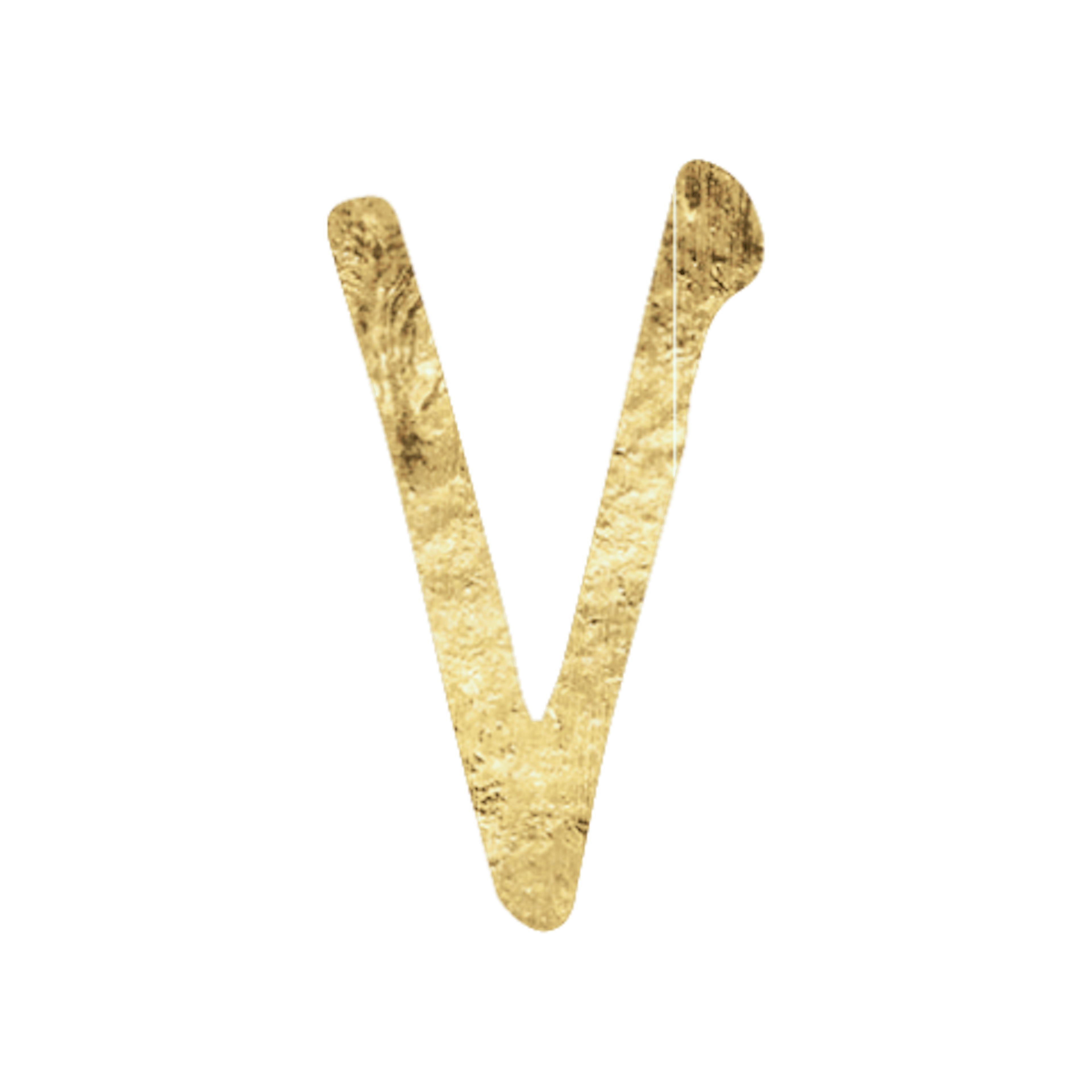 Fifth House in Astrology Icon