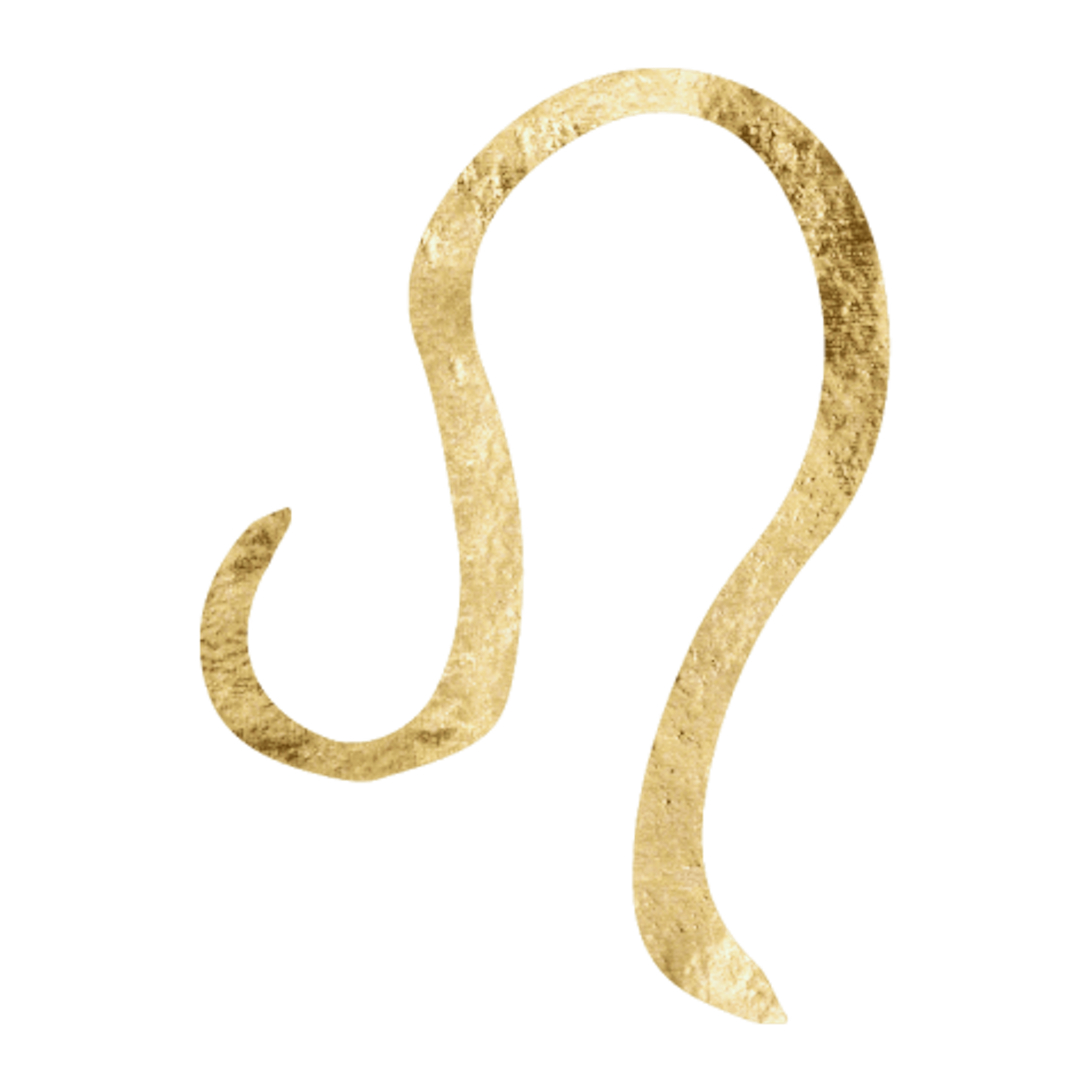 Leo Astrological Icon