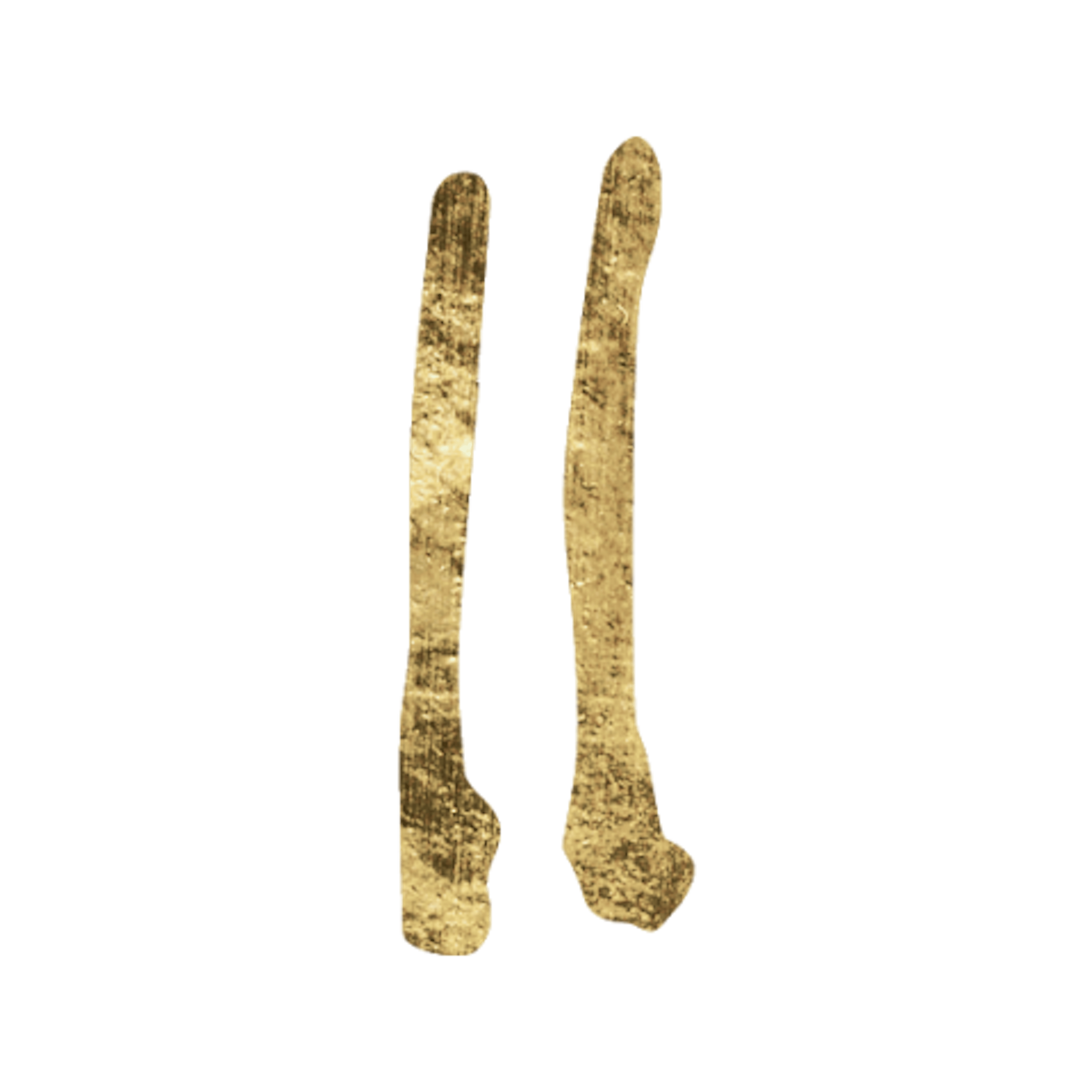 Second House in Astrology Icon